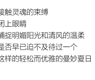 YF | 夏 你好，盛夏隨心型走